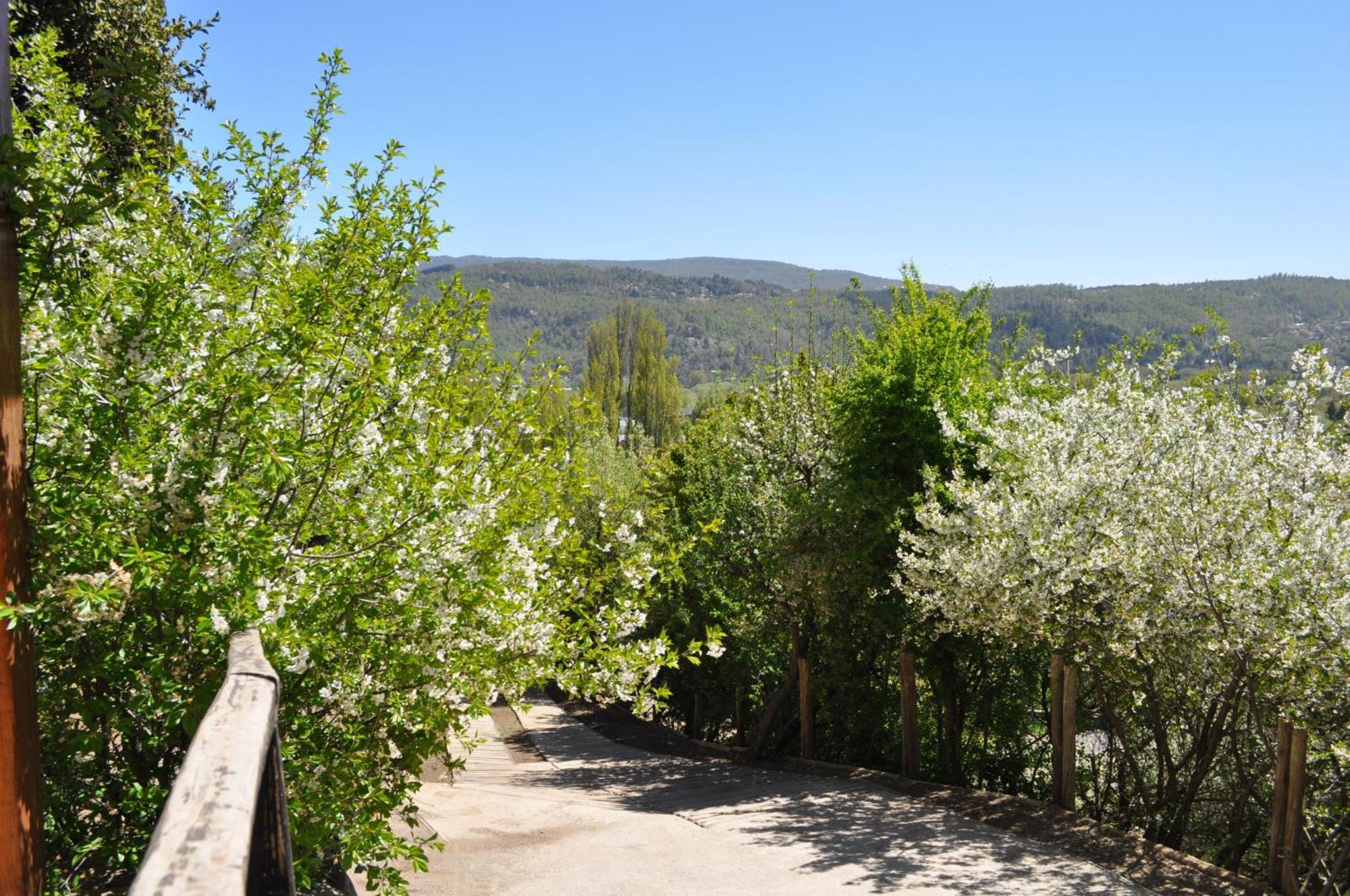 Melodia Natural En San Martín de los Andes 外观 照片