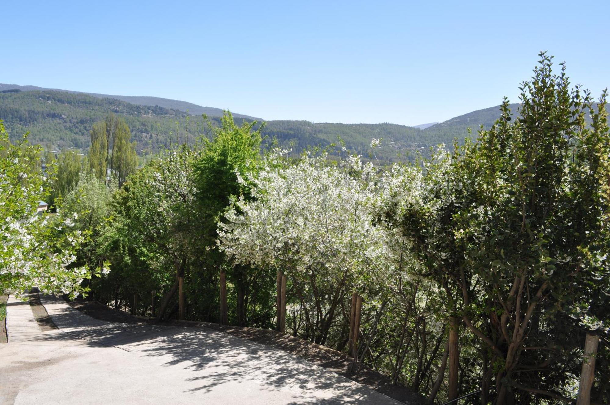 Melodia Natural En San Martín de los Andes 外观 照片